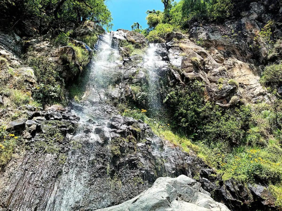 Cabaña para pareja en el bosque IB Acaxochitlán Exterior foto